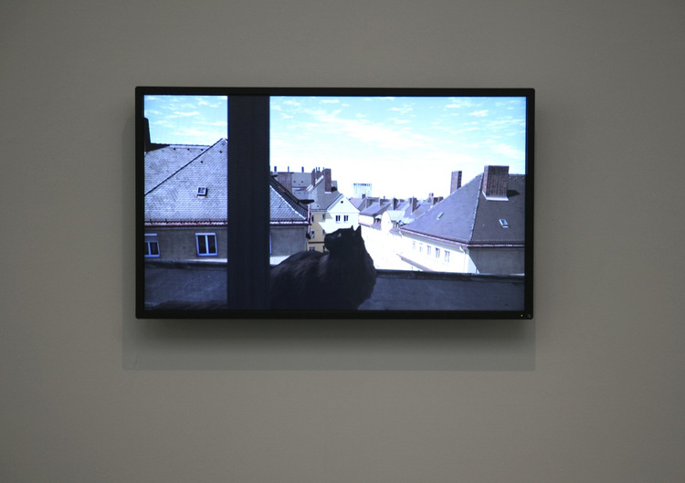  Yvon Lambert, Paris, 2011 (photo Didier Barroso)